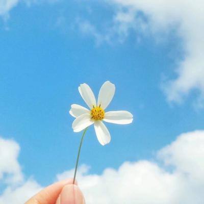 NG28下载地址官网截图